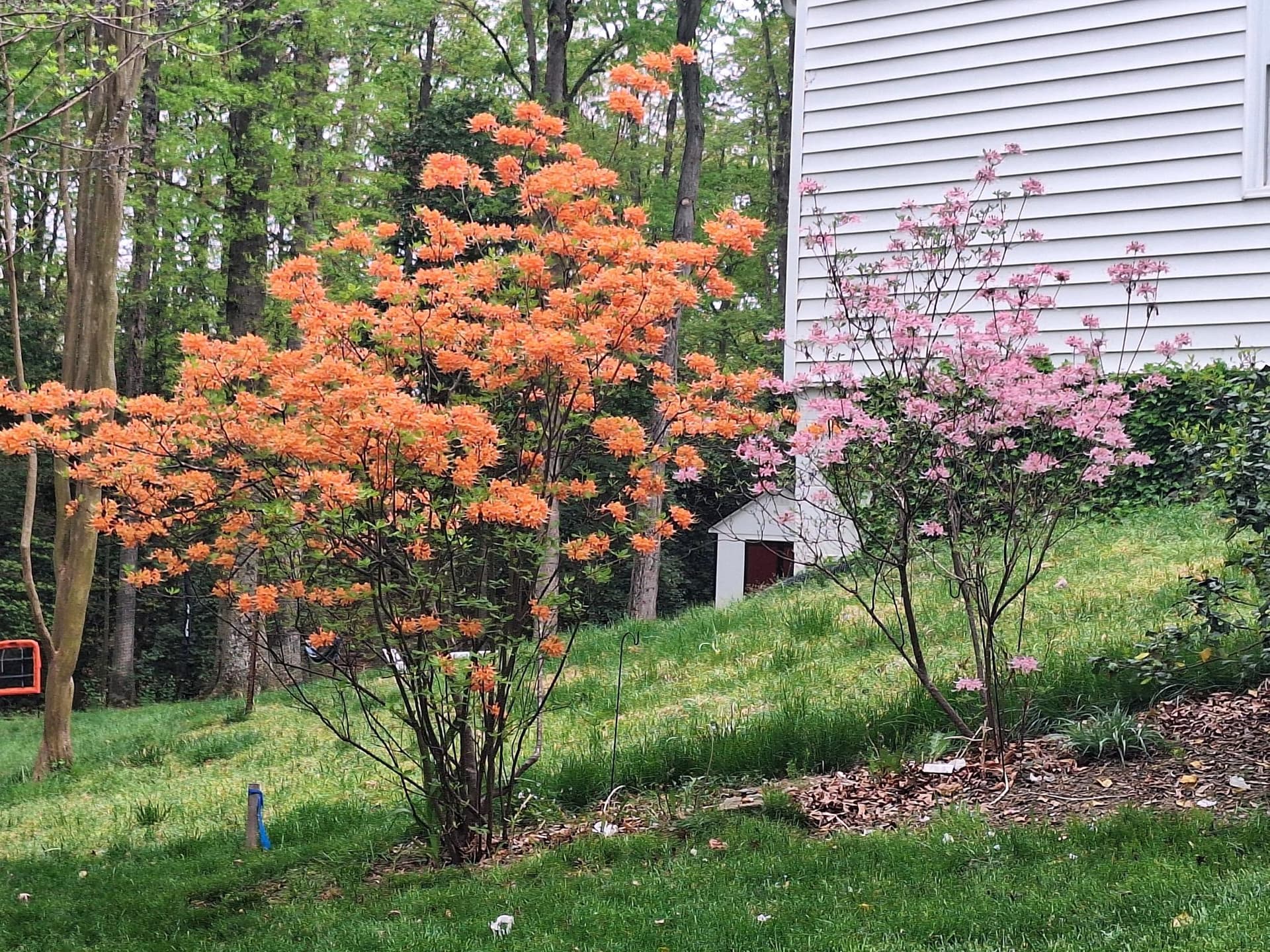 8109 Overton photo 32