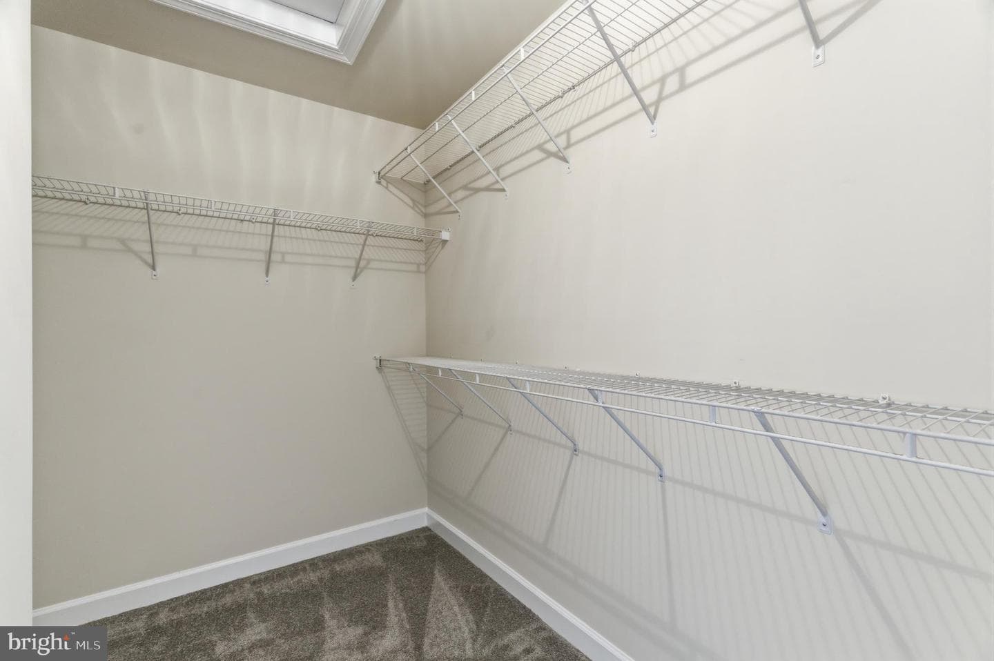 8002 Samuel Wallis Street photo 25