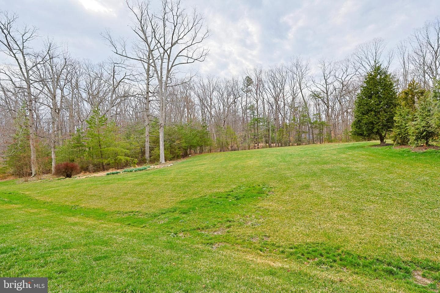8835 Chrisanthe Court photo 8