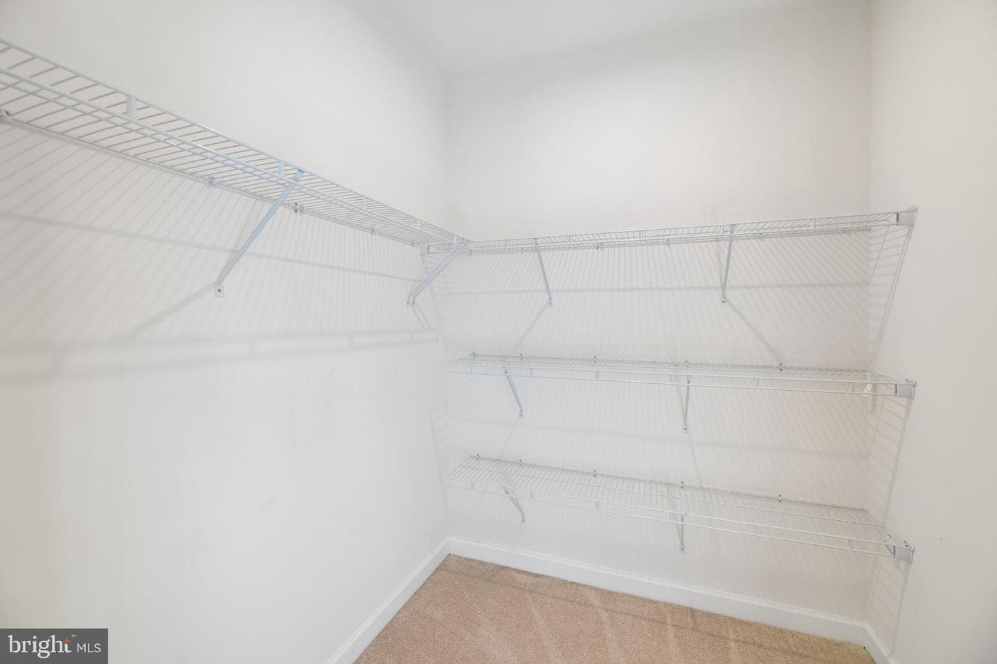 8124 Bock Farm Place photo 54