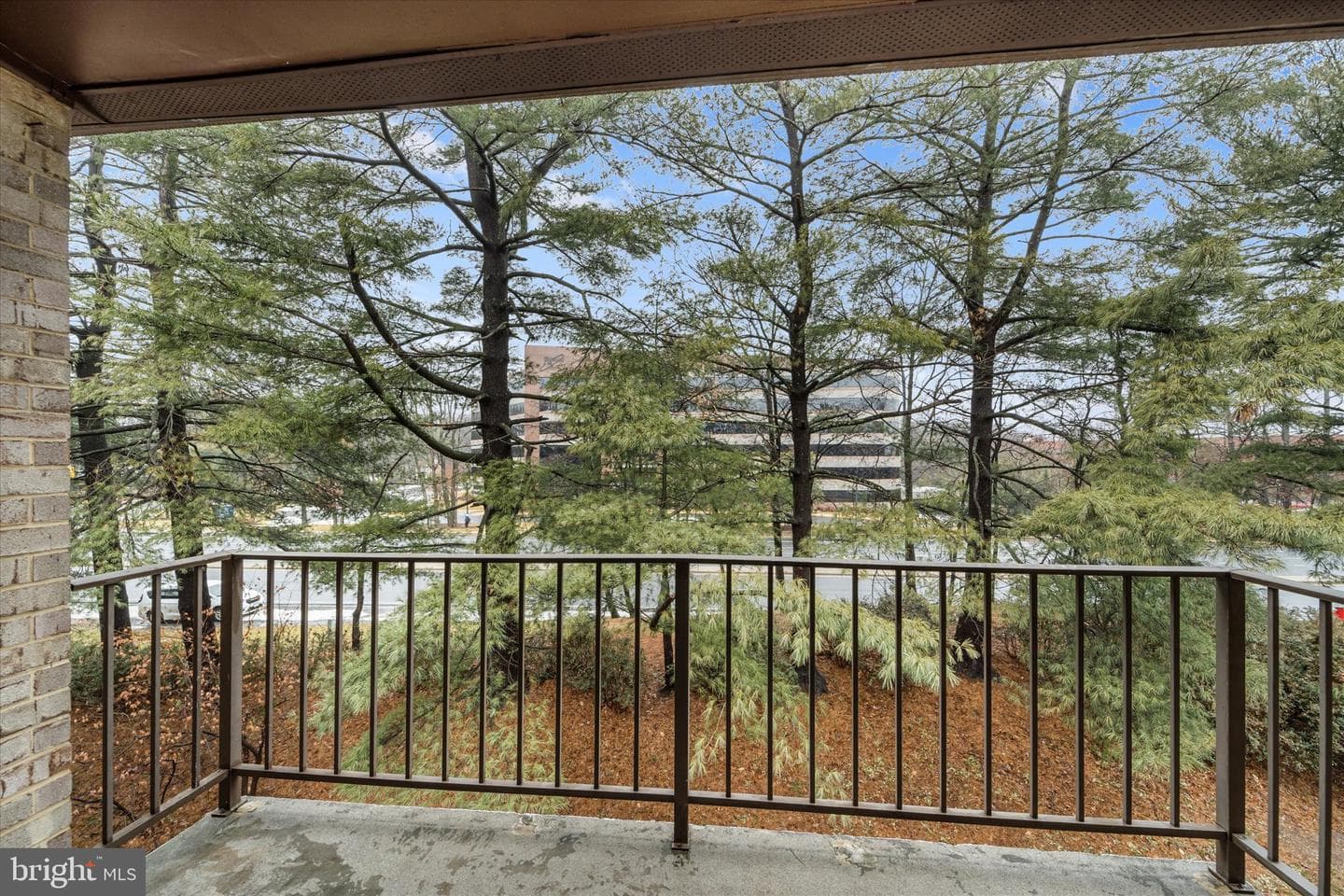 2073 Royal Fern Court #34/21b photo 23
