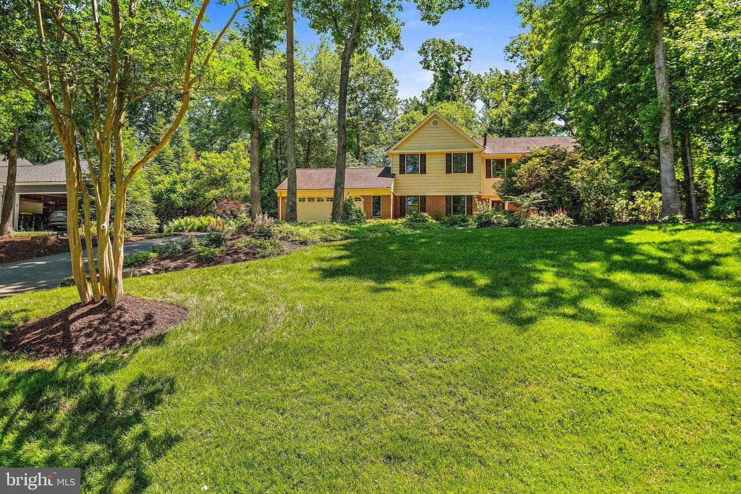 11311 Handlebar Road photo 4