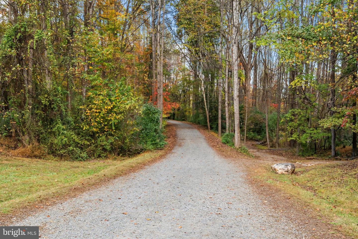 13025 Yates Ford Road photo 73