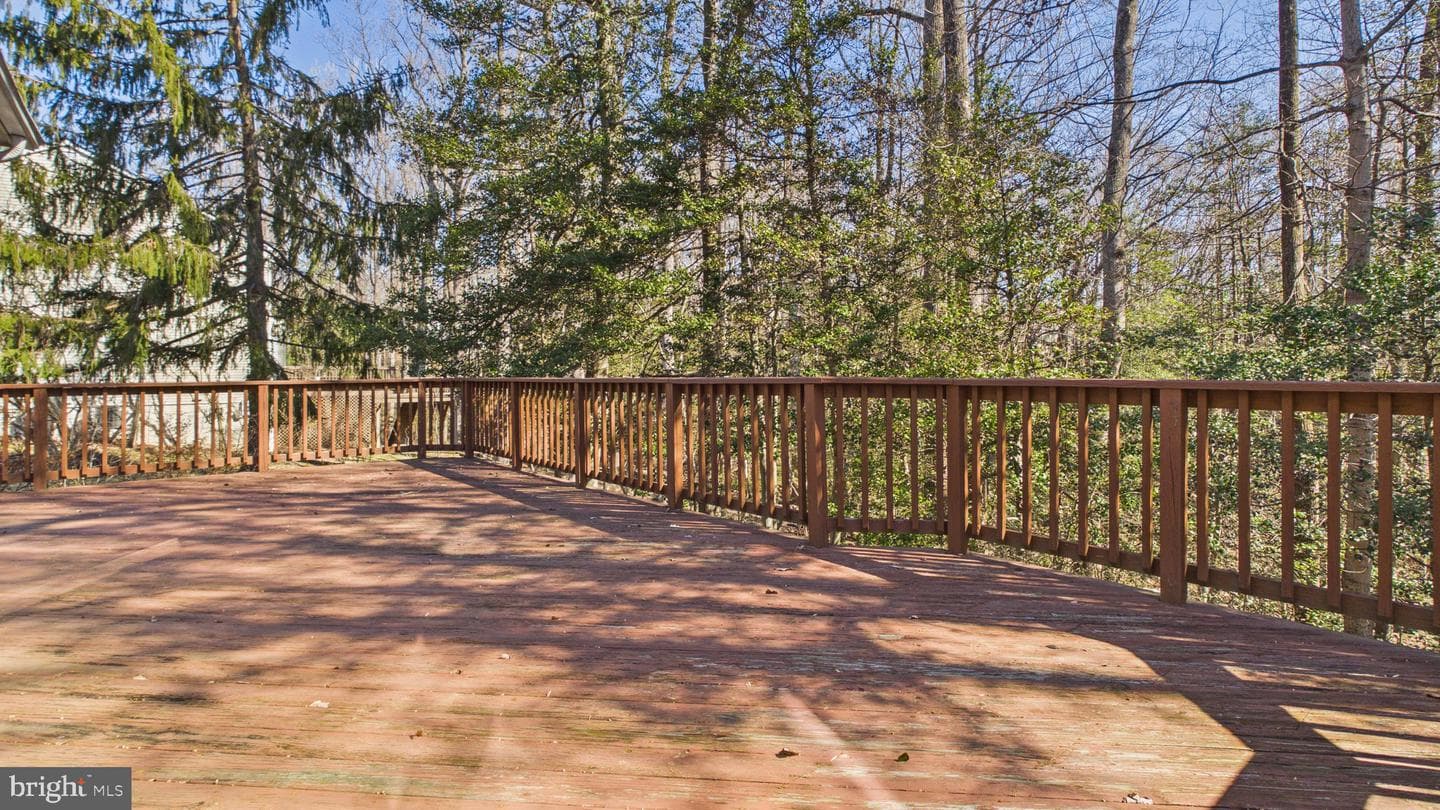 10298 Dunn Meadow Road photo 64