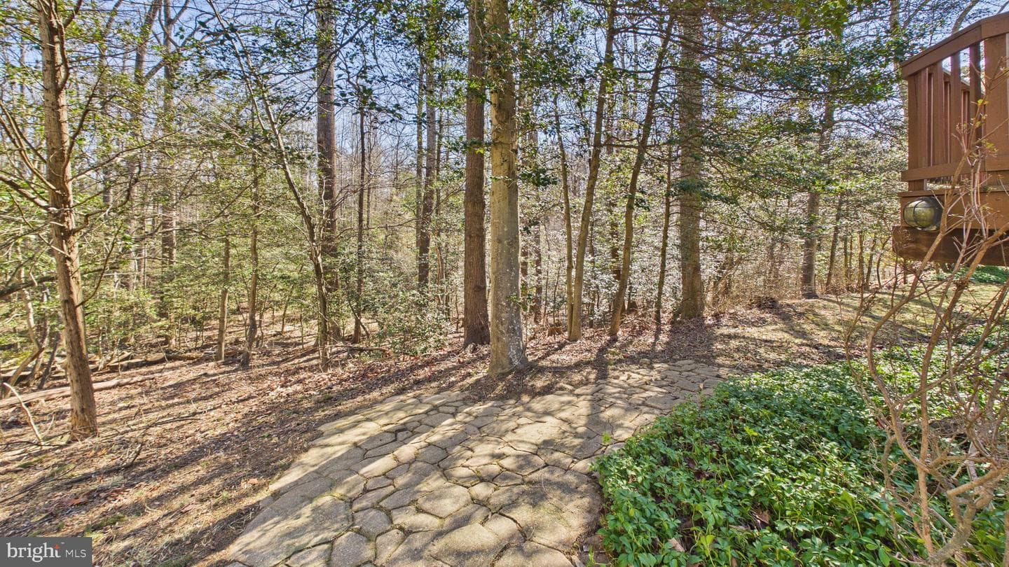 10298 Dunn Meadow Road photo 69