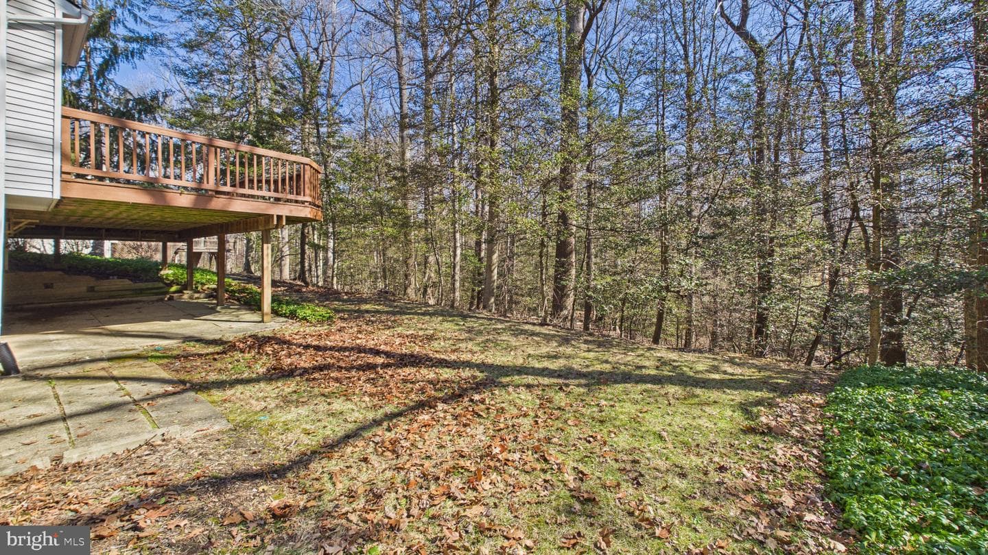 10298 Dunn Meadow Road photo 73
