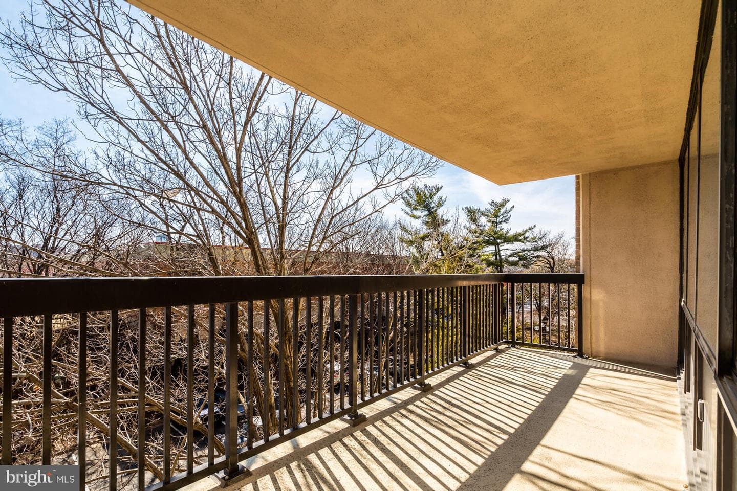3713 S George Mason Drive #305 photo 47