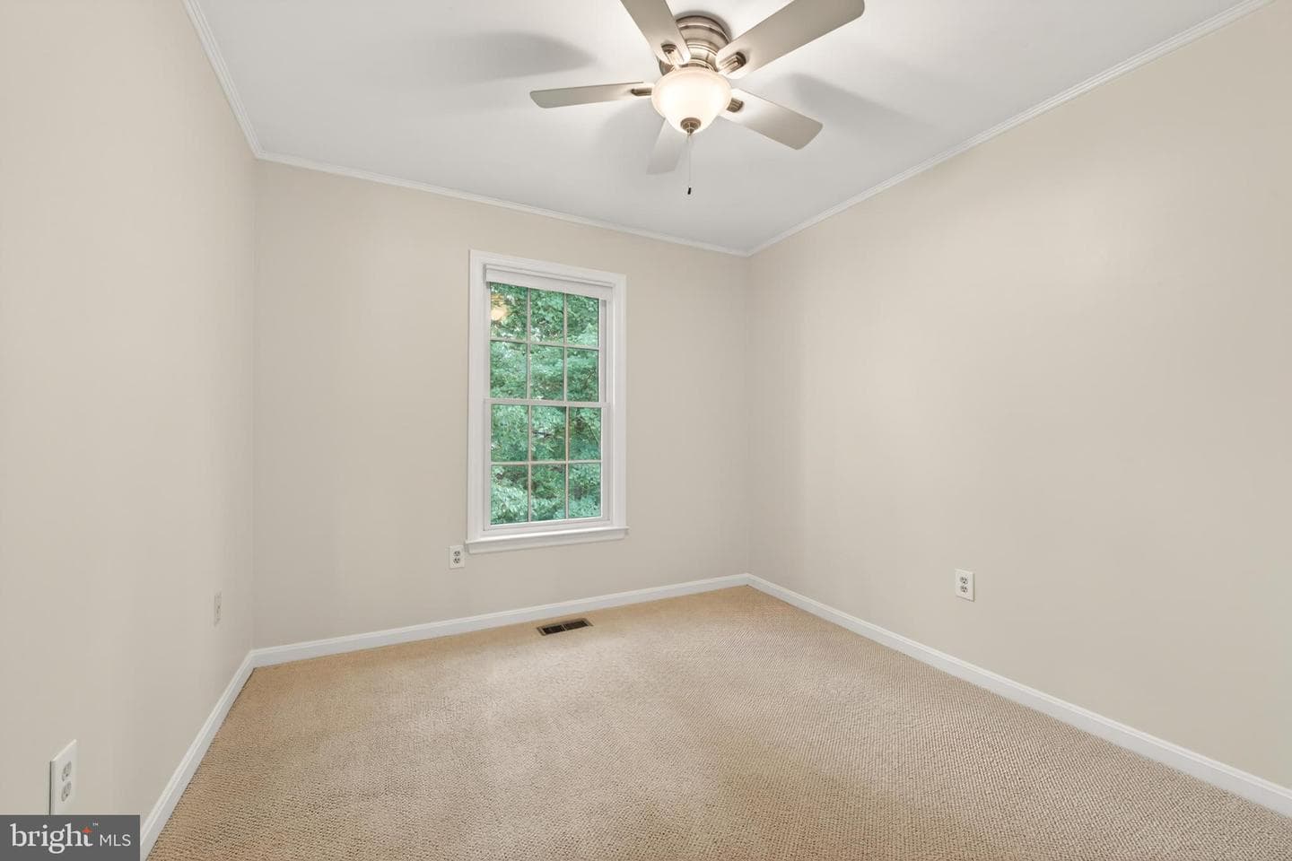 11792 Great Owl Circle photo 27
