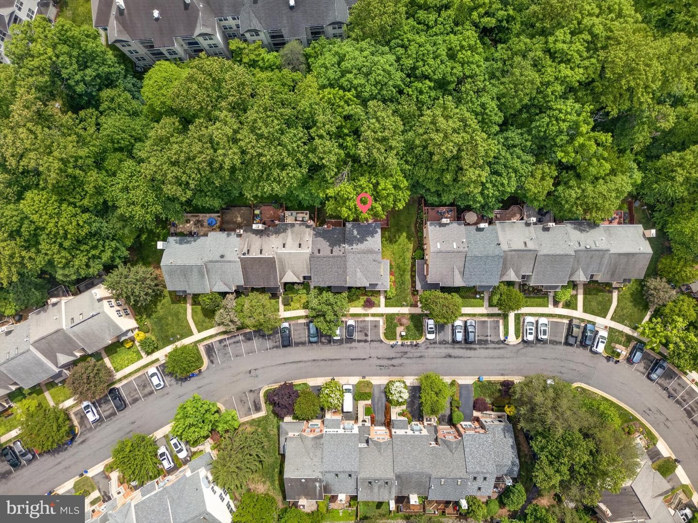 11792 Great Owl Circle photo 5