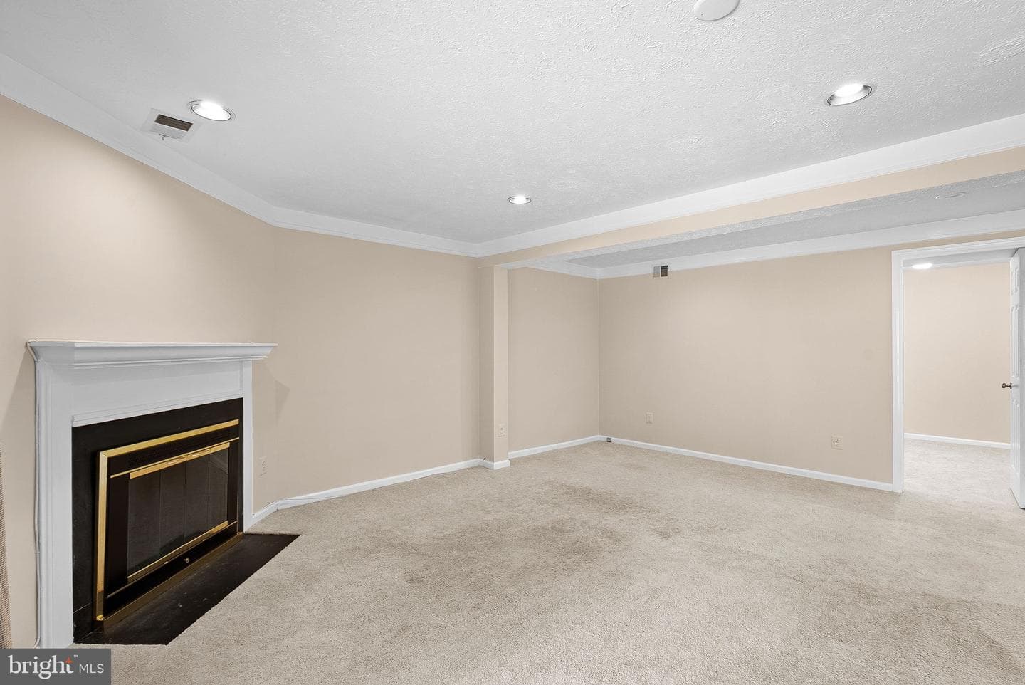 12541 Alder Woods Drive photo 47