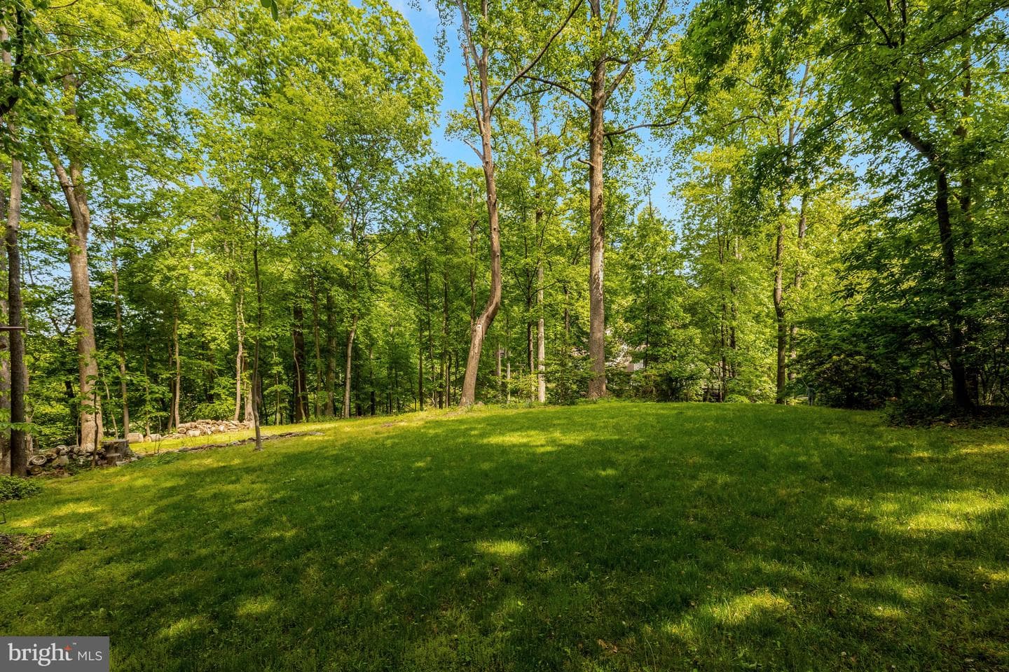 11698 Fox Glen Drive photo 71