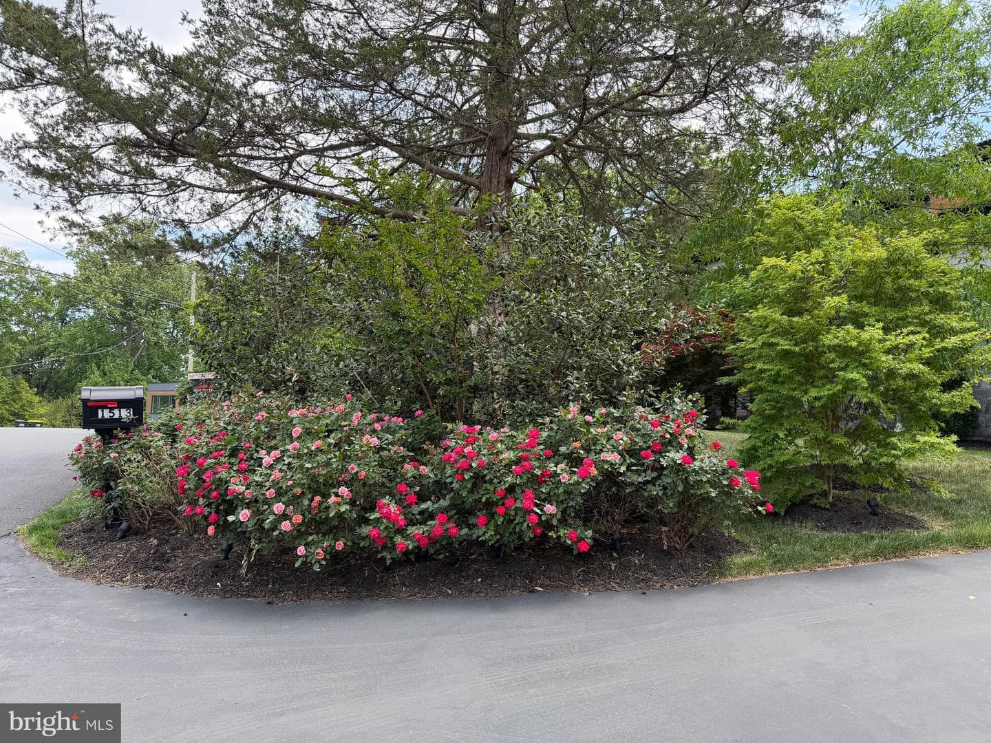 1513 Oakview Drive photo 79
