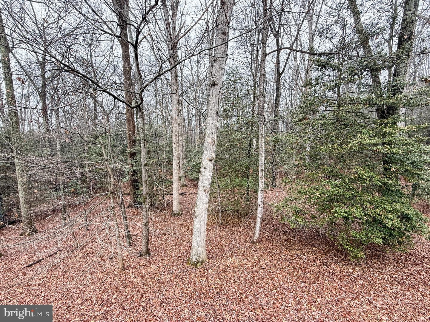 3106 Hunt Road photo 5
