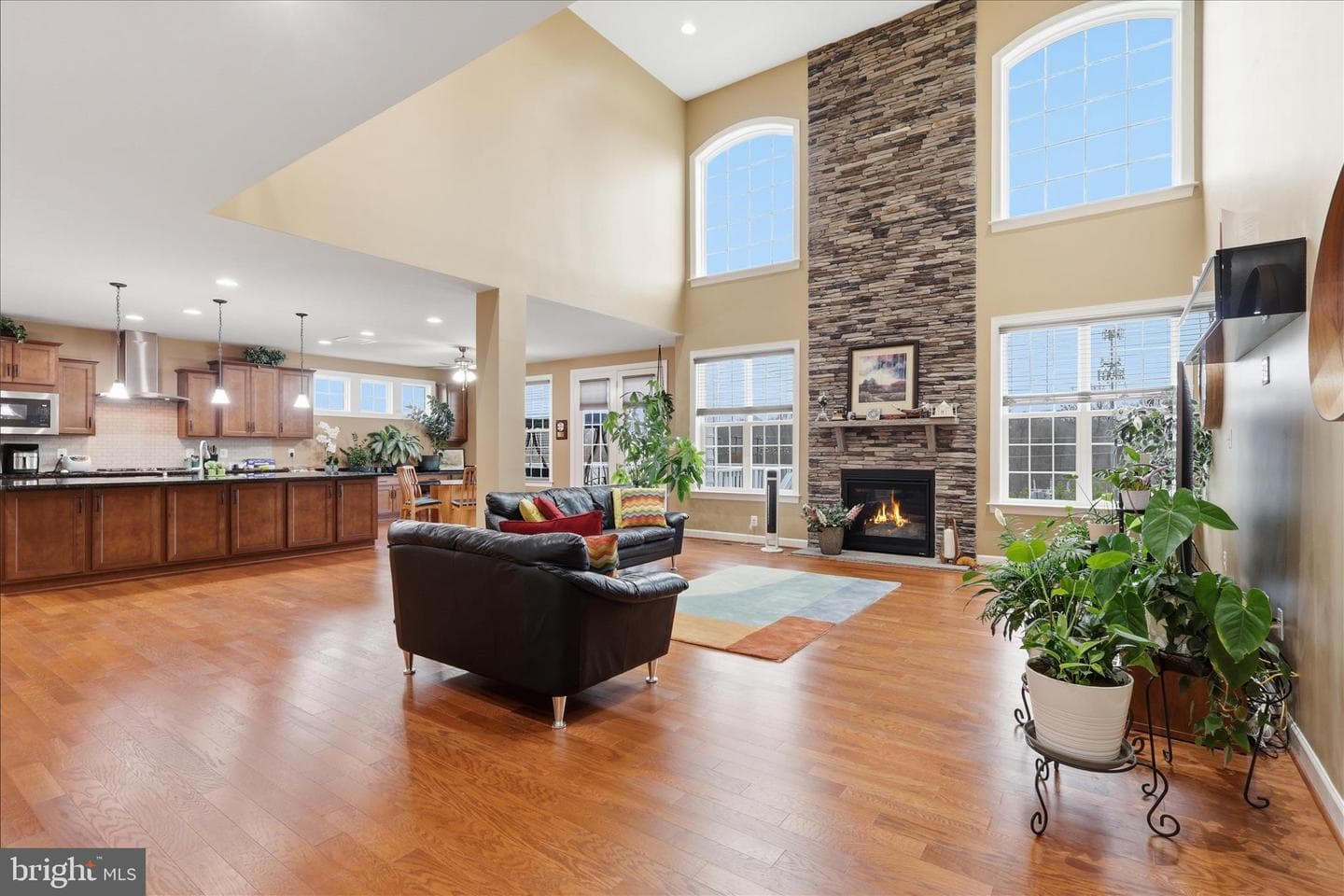 5575 James Young Way photo 15