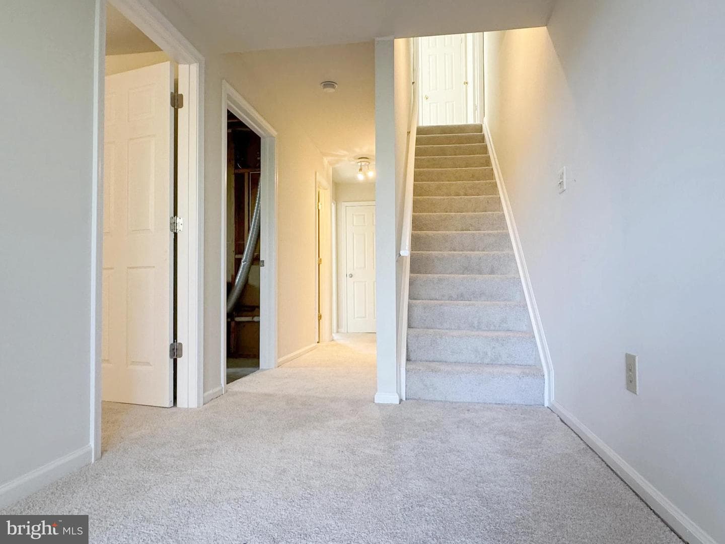 9615 Franklin Woods Place photo 19