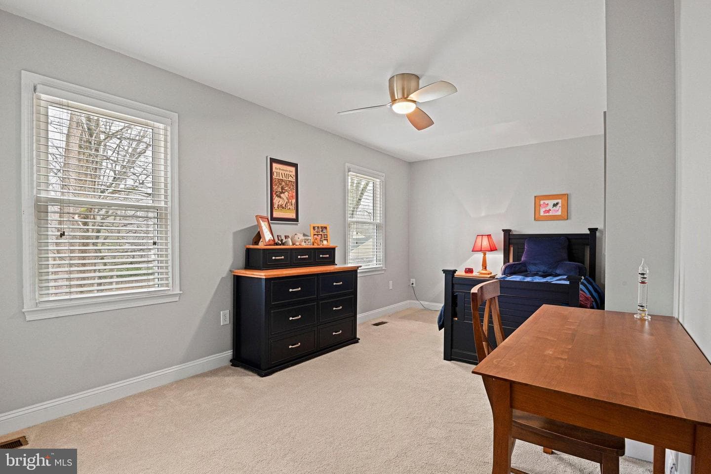 11202 Cranbrook Lane photo 34