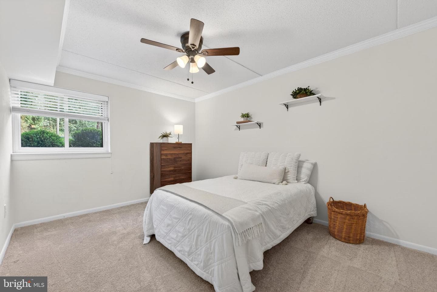 11735 Ledura Court #t1 photo 17