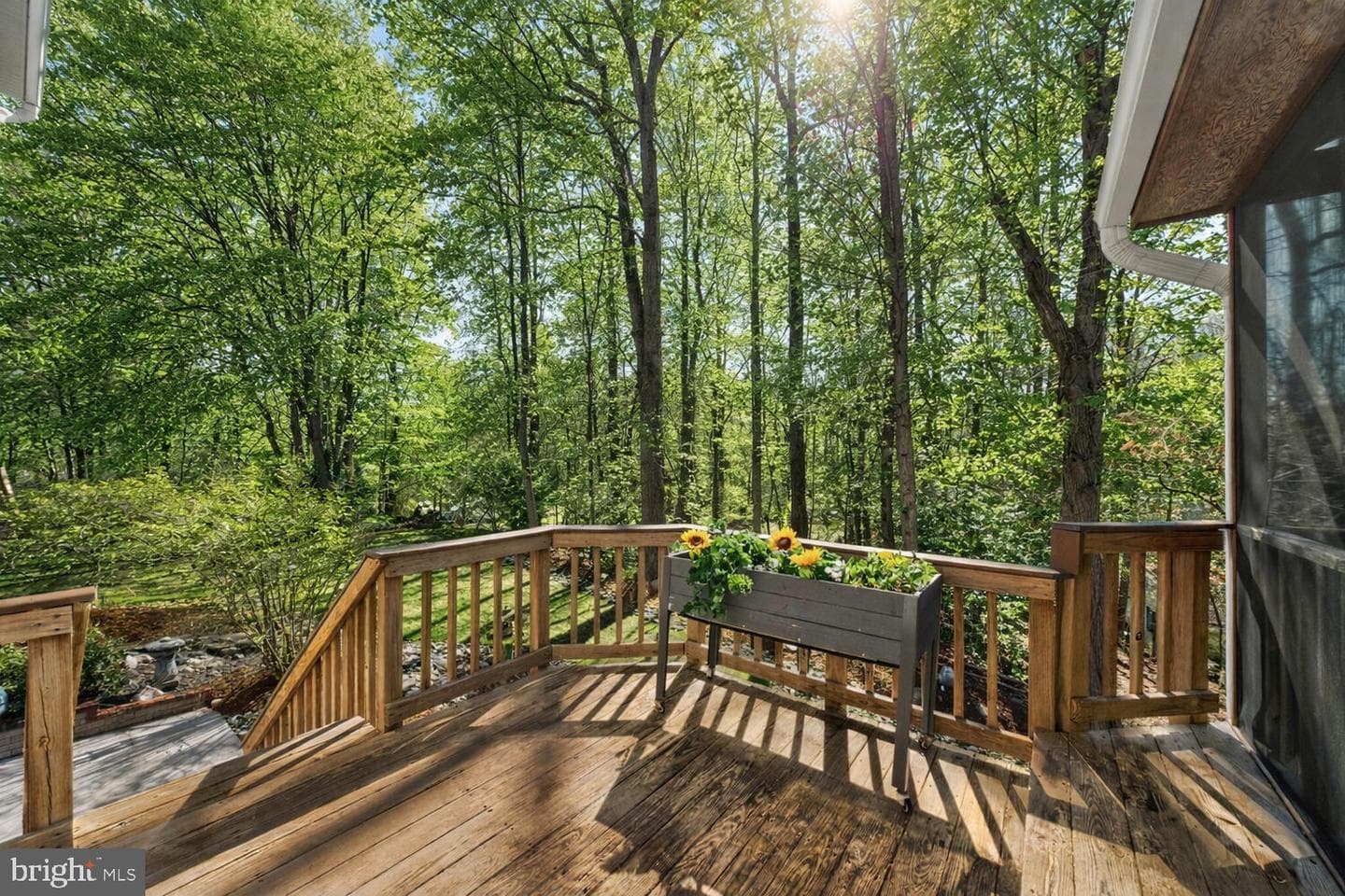 7923 Donegal Lane photo 43