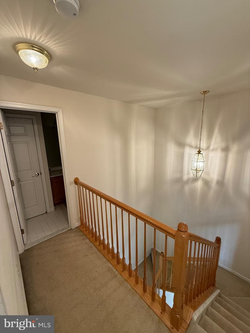4617 Hummingbird Lane #110 photo 41