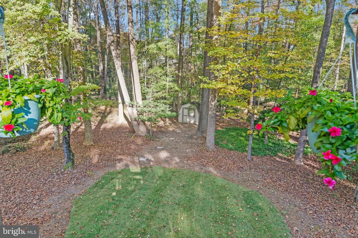 11181 Longwood Grove Drive photo 85