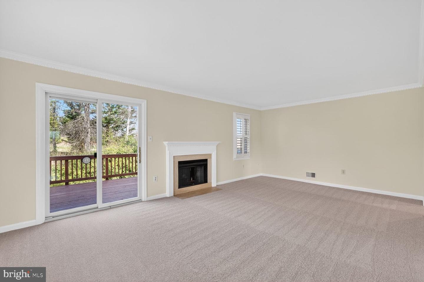 6587 Zoysia Court photo 5
