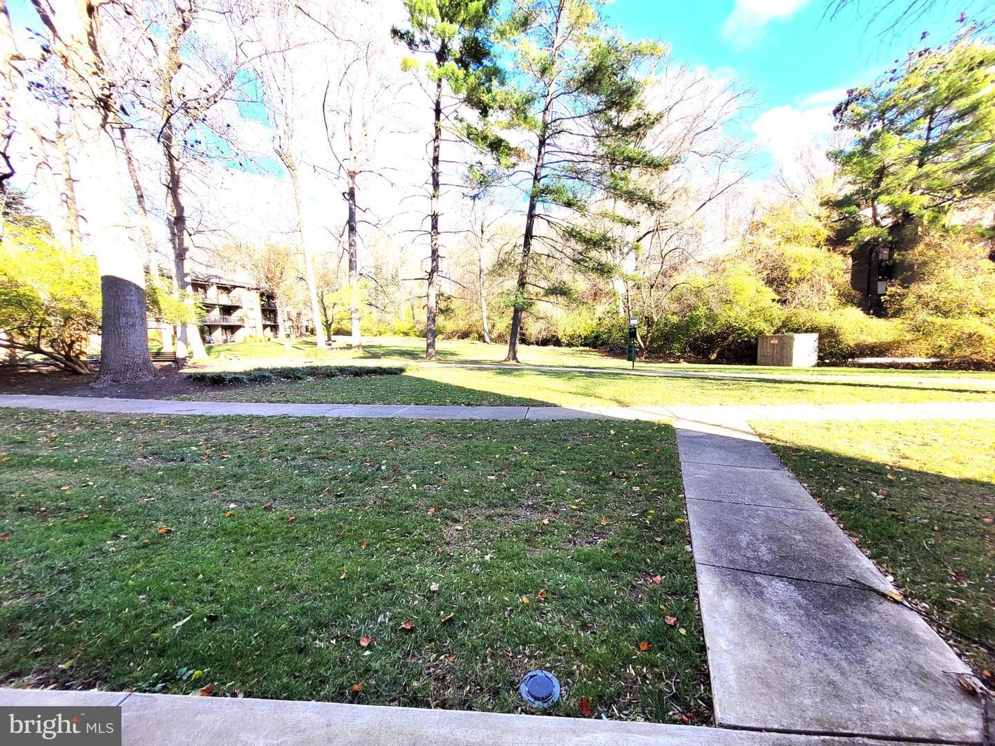 9800 Kingsbridge Drive #2 photo 44