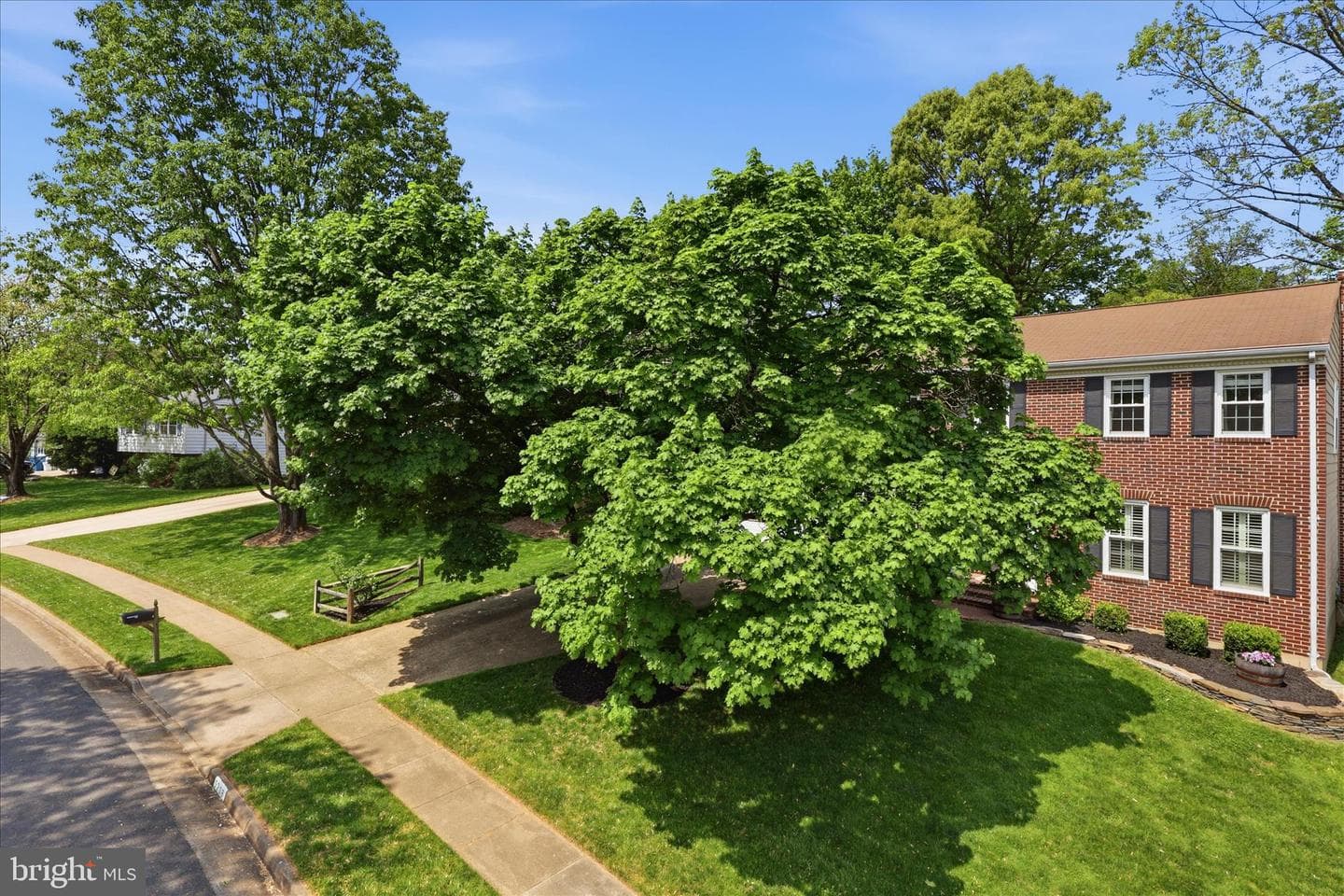 5208 Ruffner Woods Court photo 3