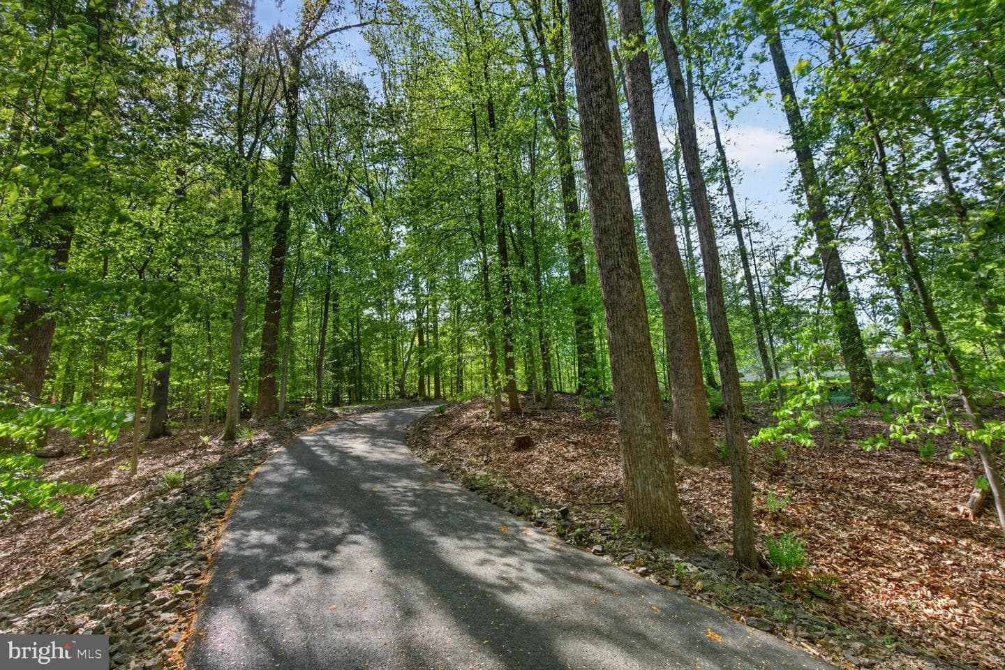 11511 Lilting Lane photo 11