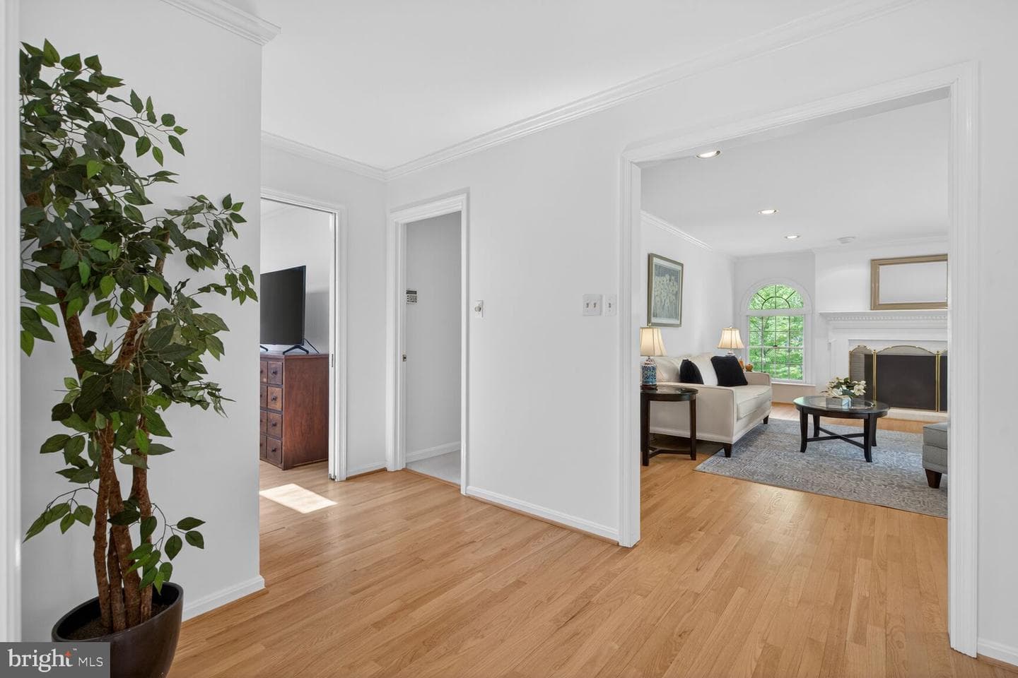 11511 Lilting Lane photo 17