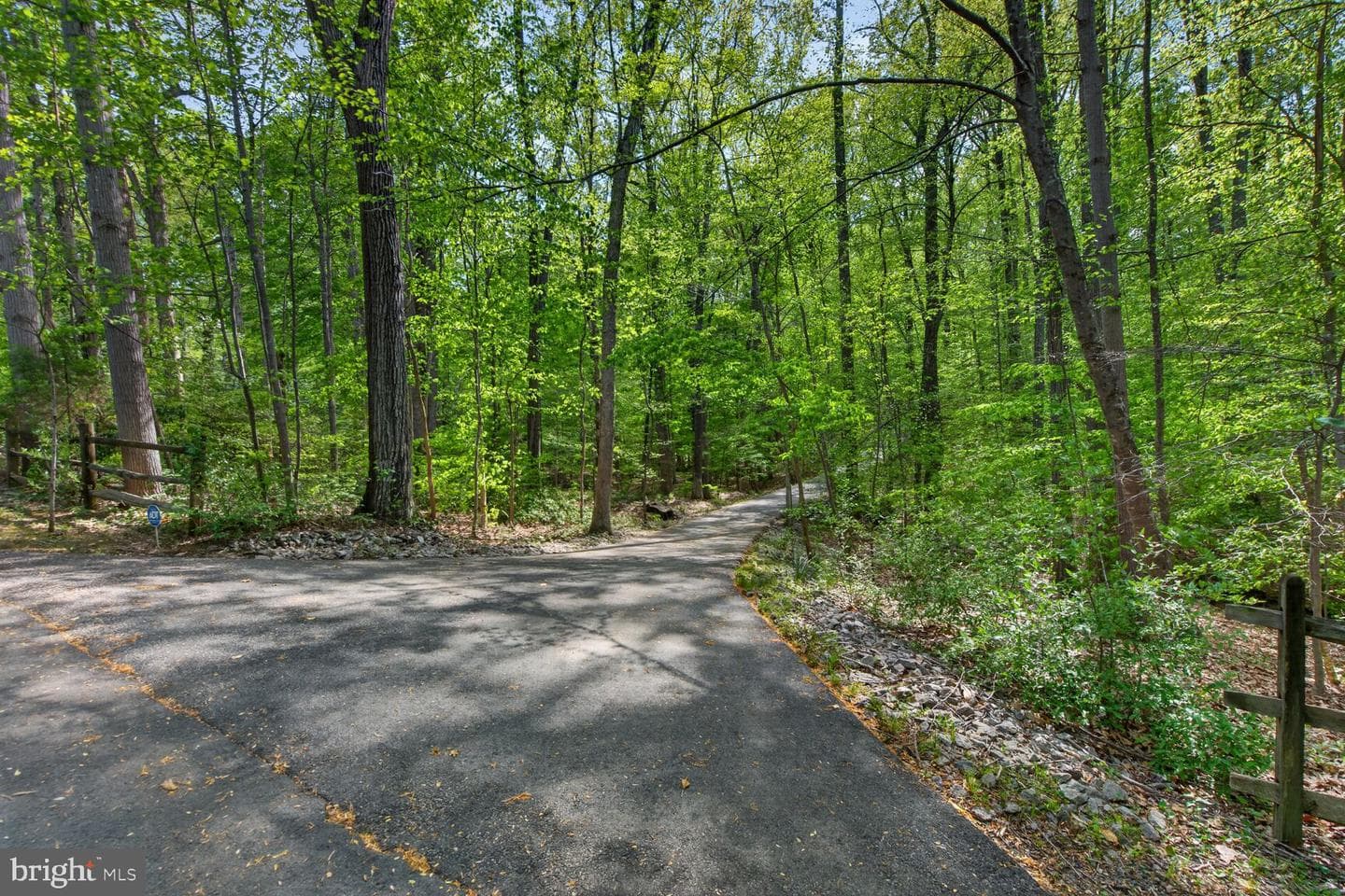 11511 Lilting Lane photo 8