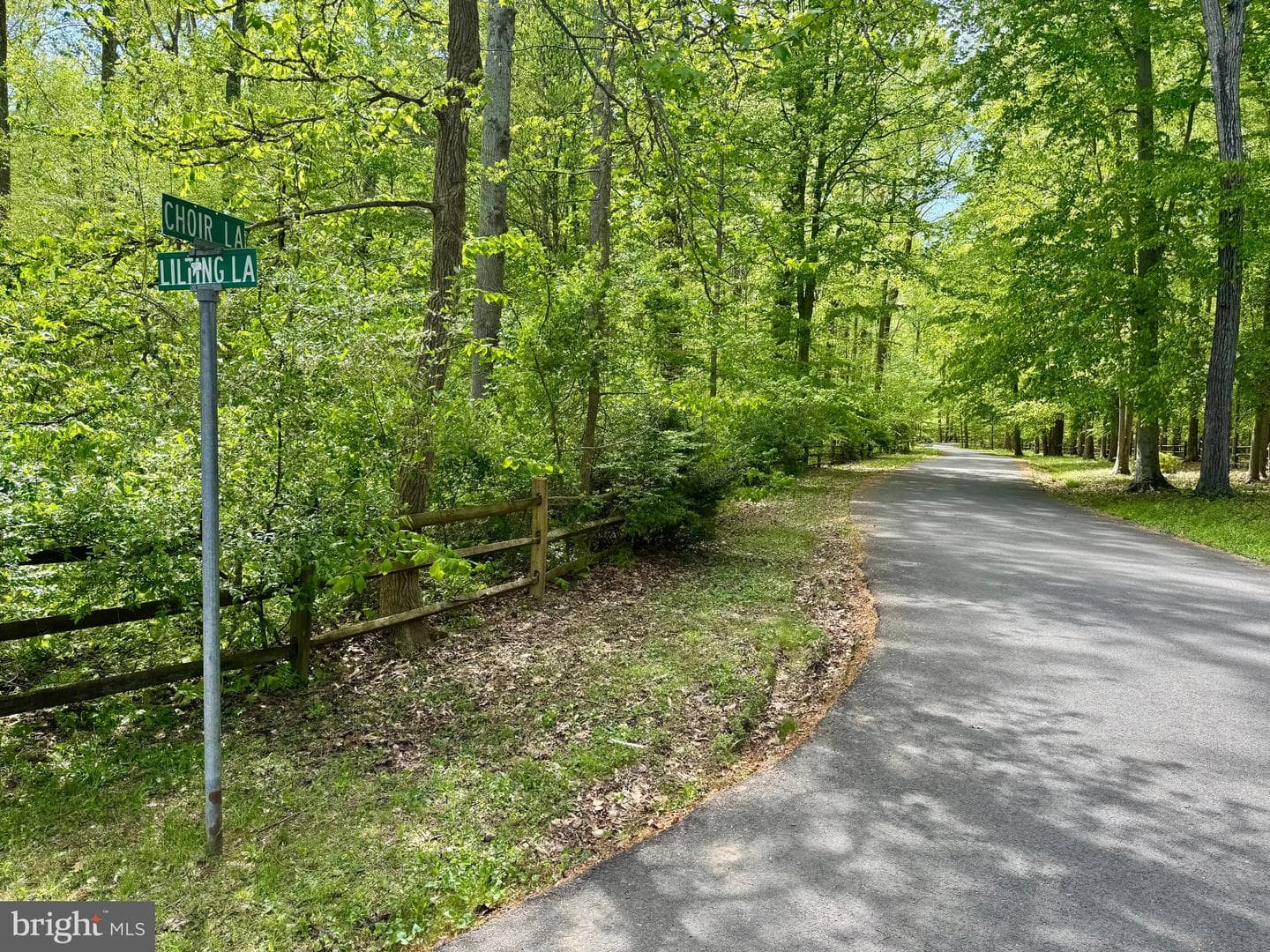 11511 Lilting Lane photo 86