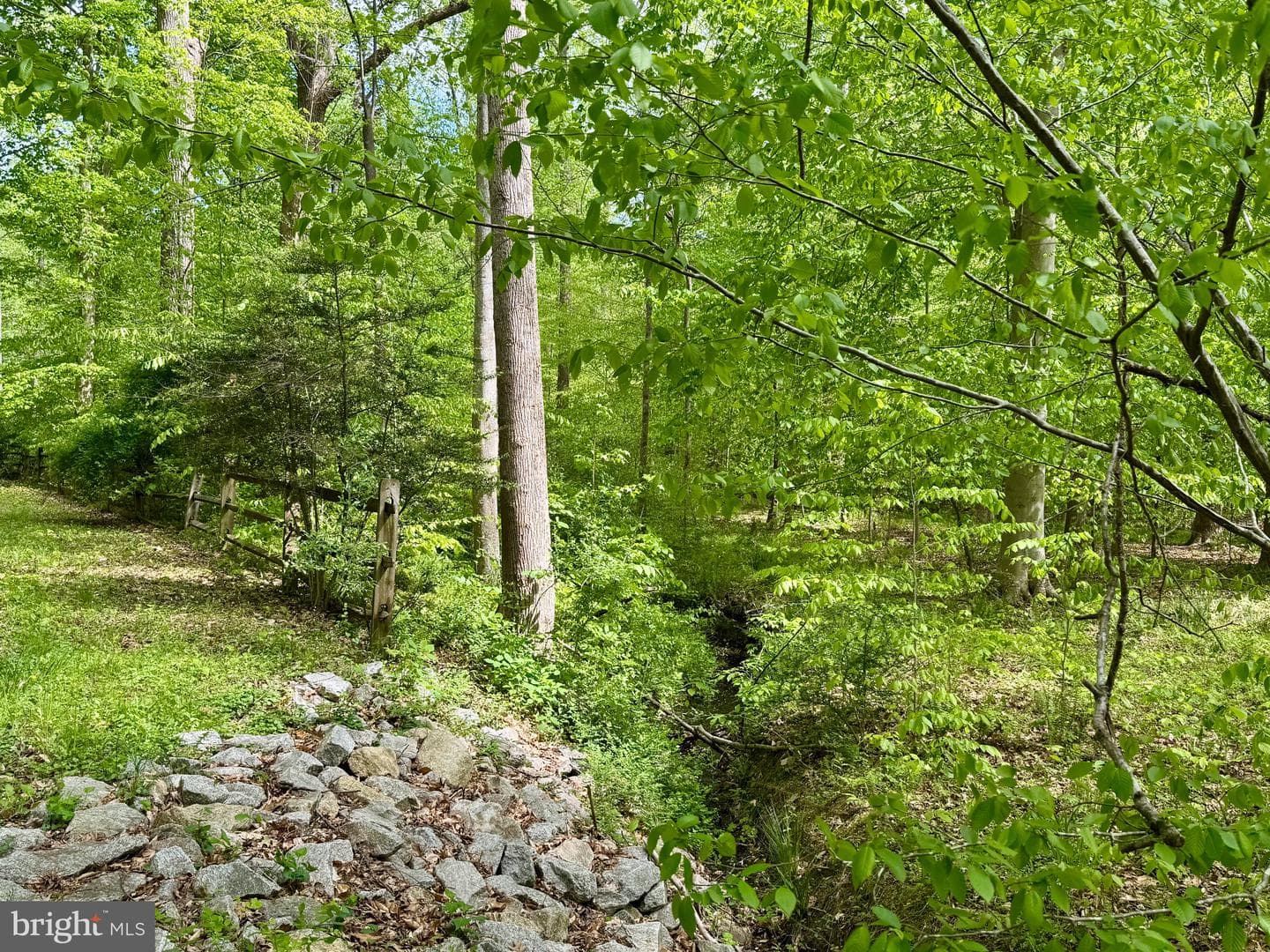 11511 Lilting Lane photo 89