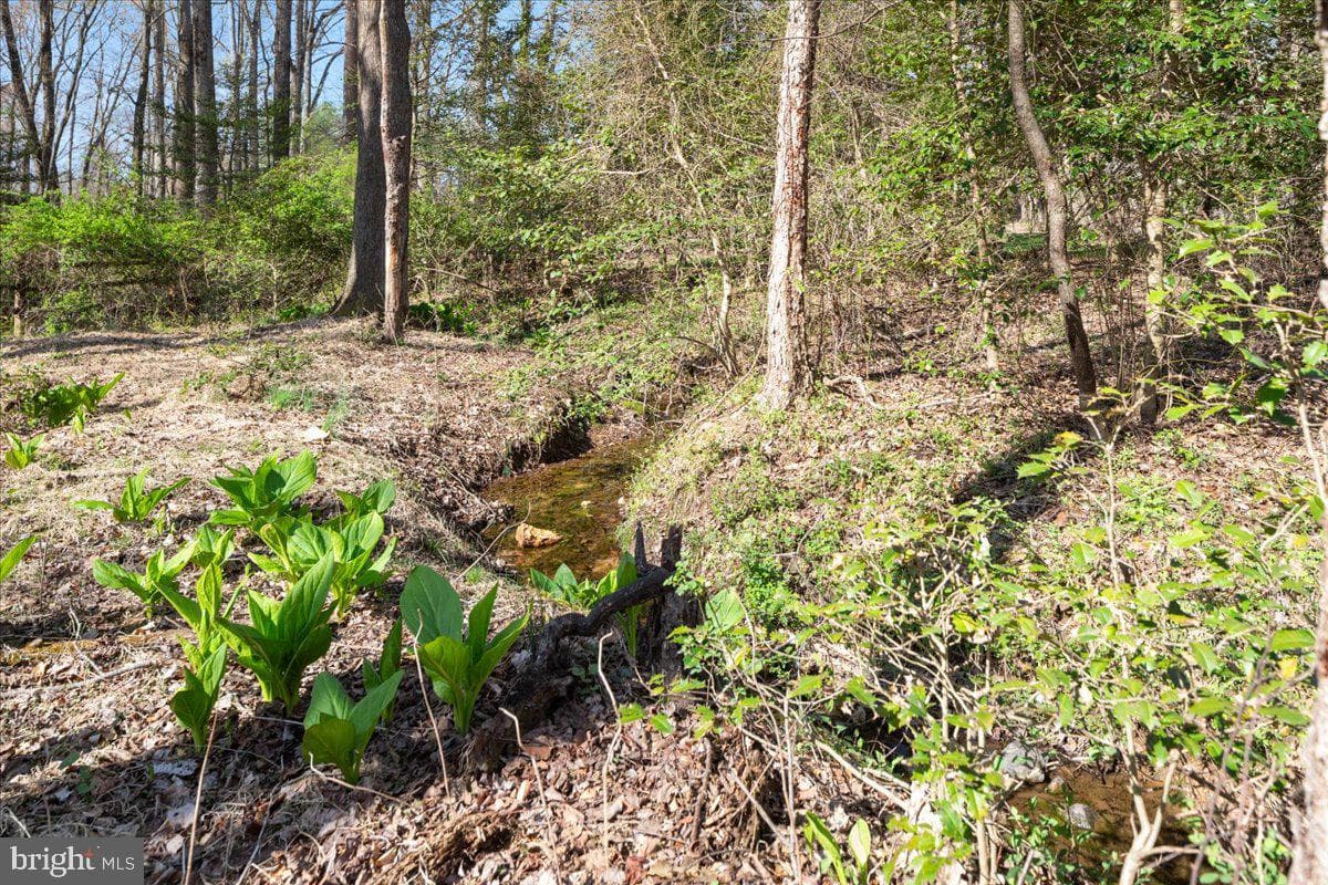 532 Walker Rd photo 86