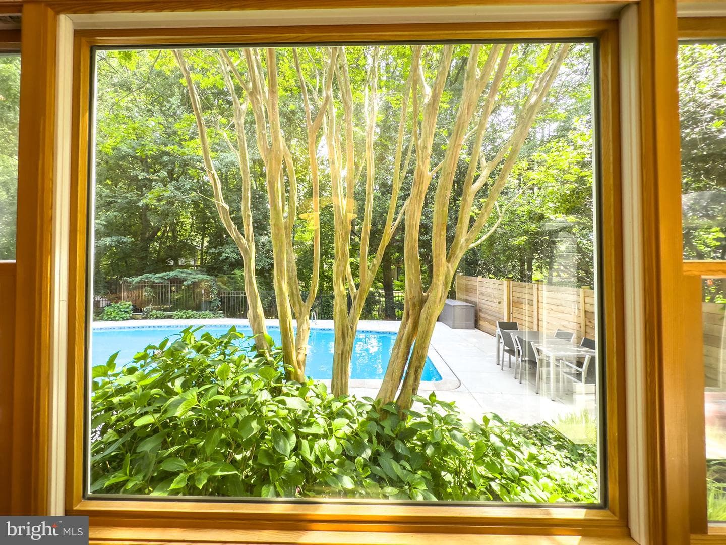 11817 Blue Spruce Road photo 52