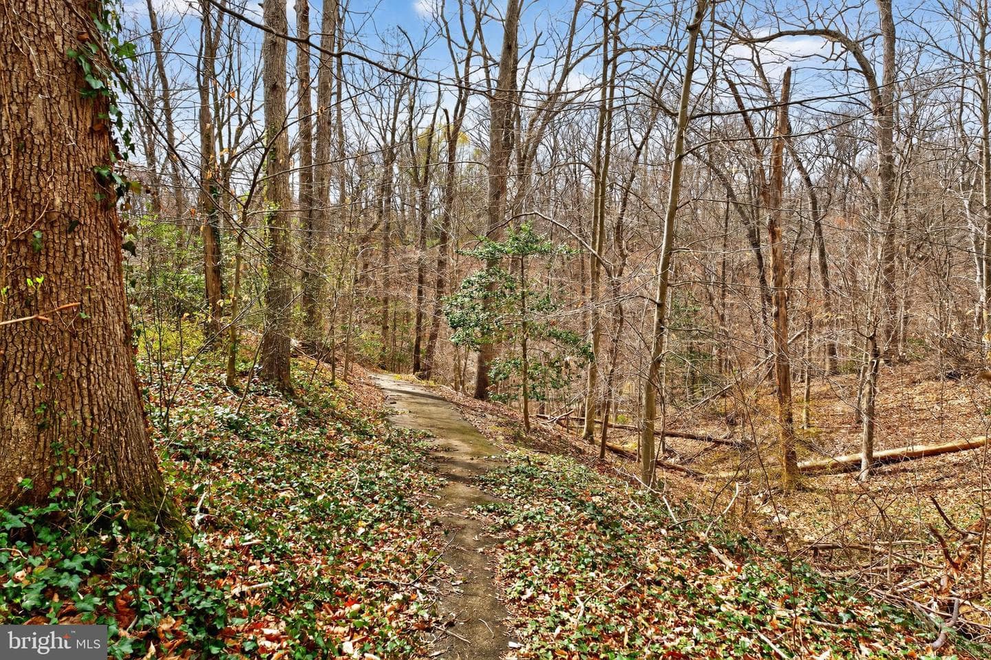 8570 Gwynedd Way photo 29