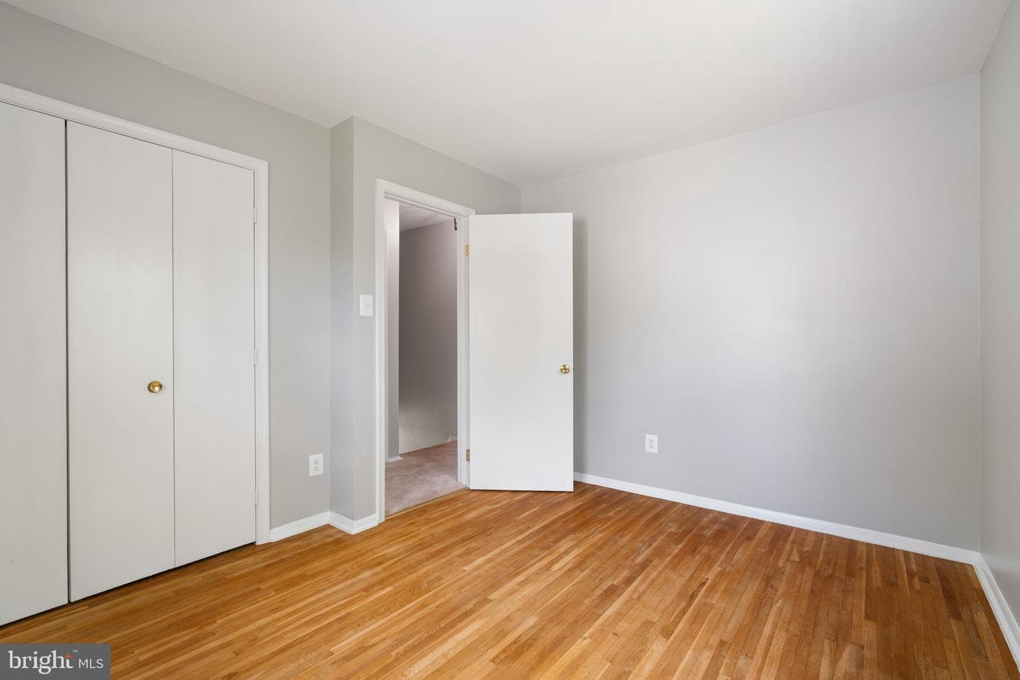 8328 Carrleigh Parkway photo 33