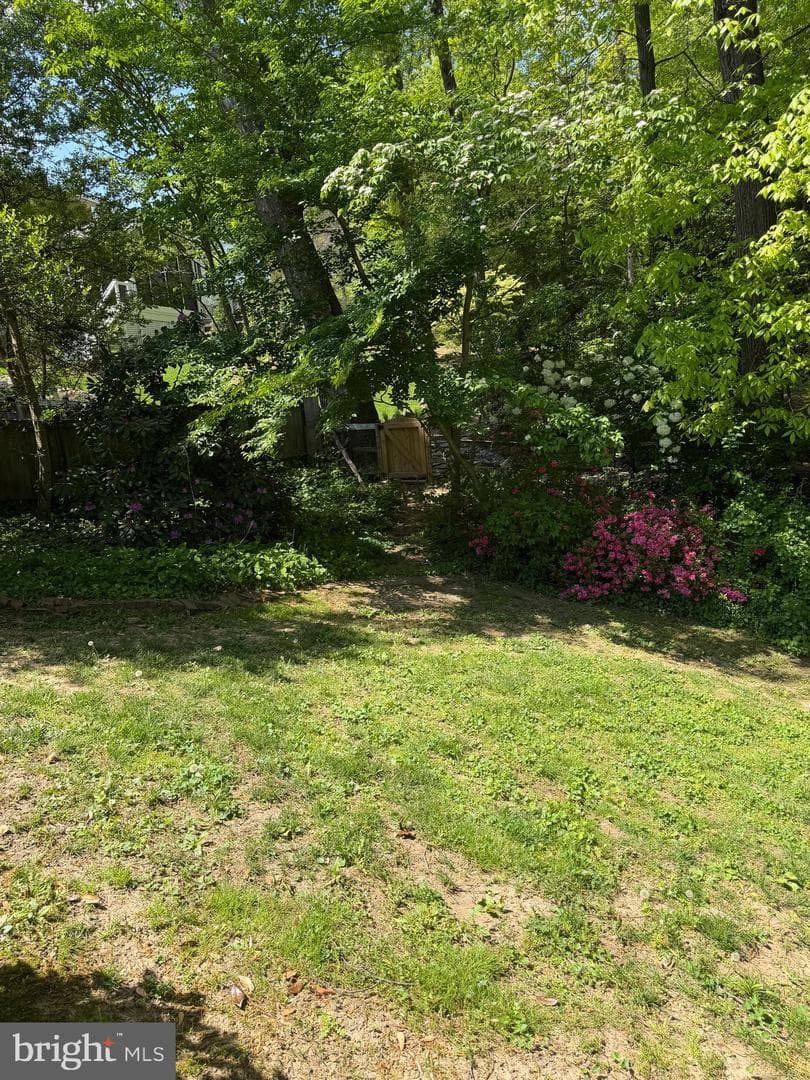 6110 Harmon Place photo 10