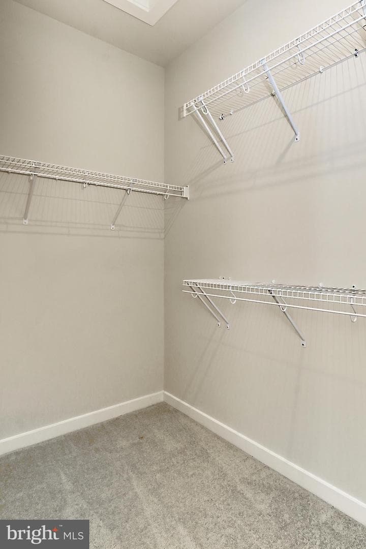 14176 Gypsum Loop photo 40