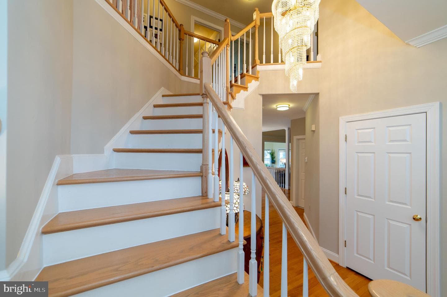 10805 Piney Pond Drive photo 43