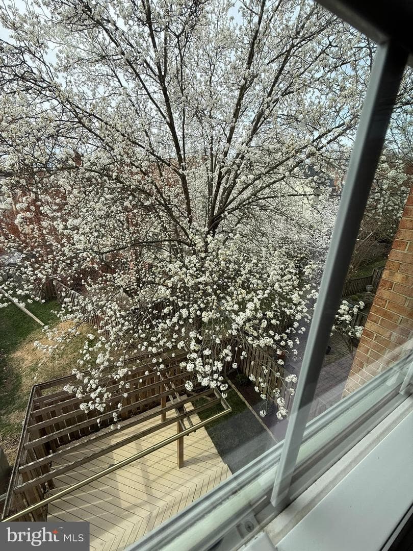 7753 Shootingstar Drive photo 64