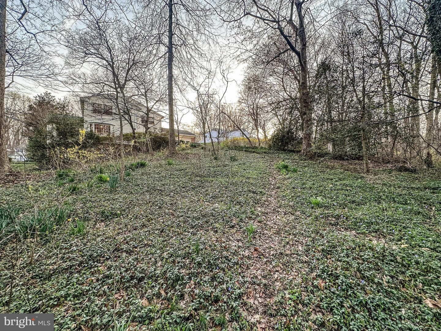 1558 Forest Villa Lane photo 46