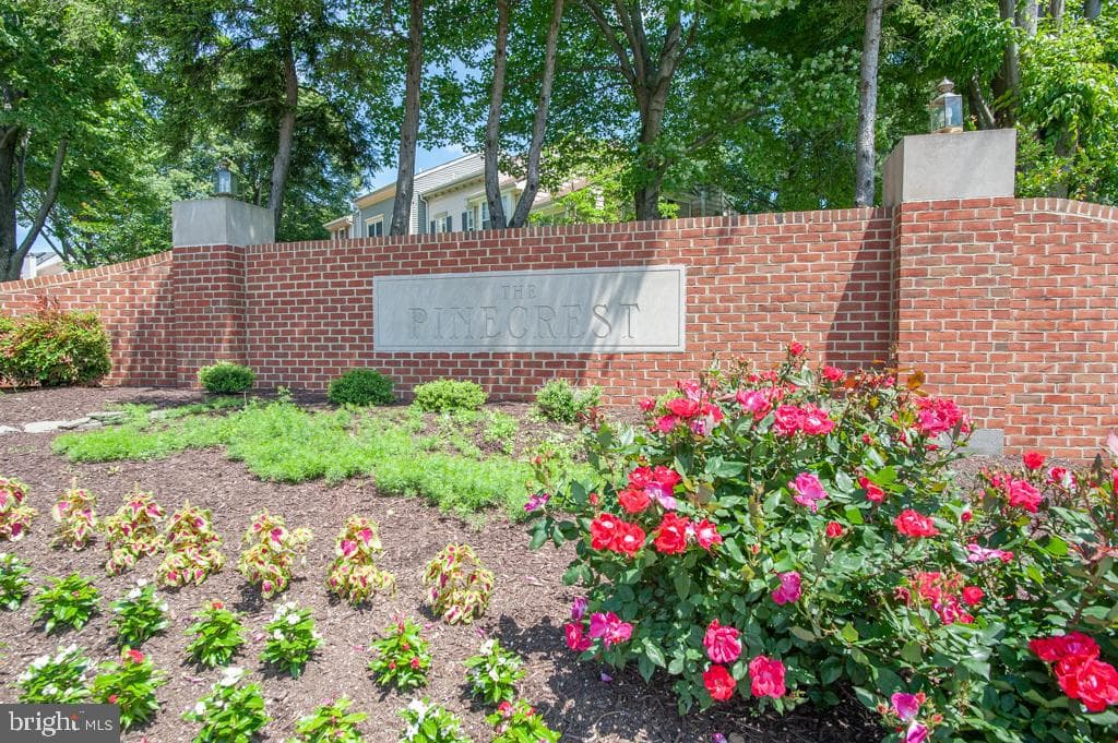 6544 River Tweed Lane photo 29