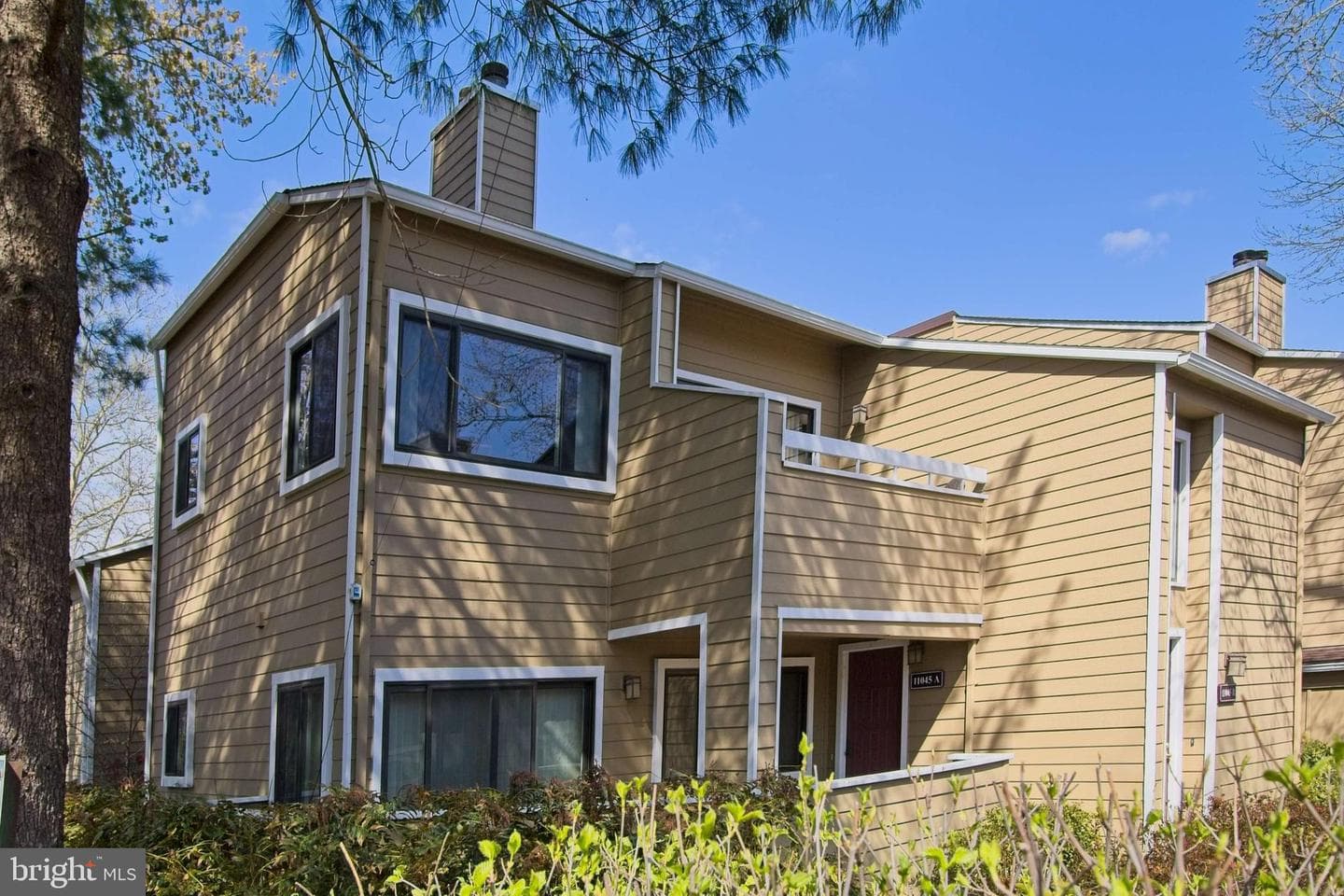 11045 Villaridge Court photo 3