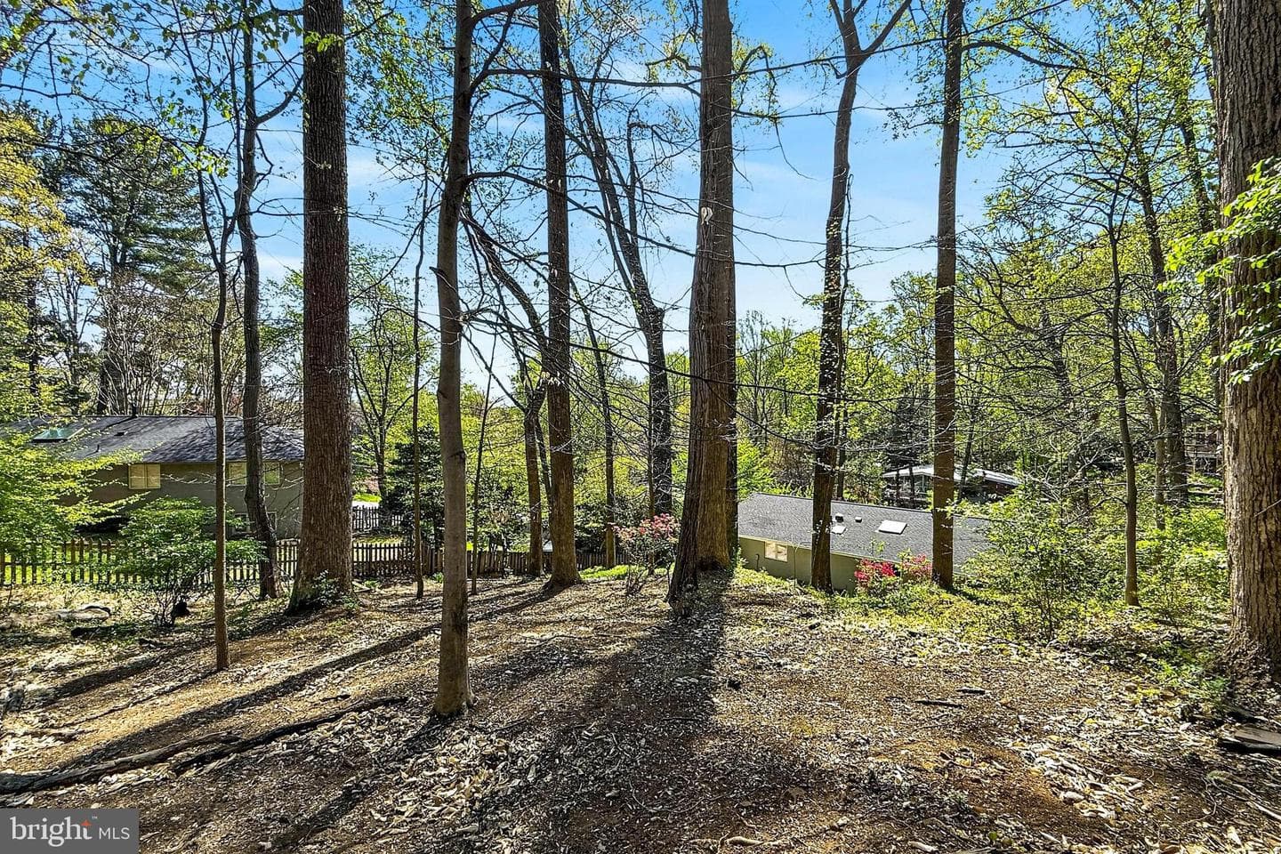 6362 Burton Circle photo 51