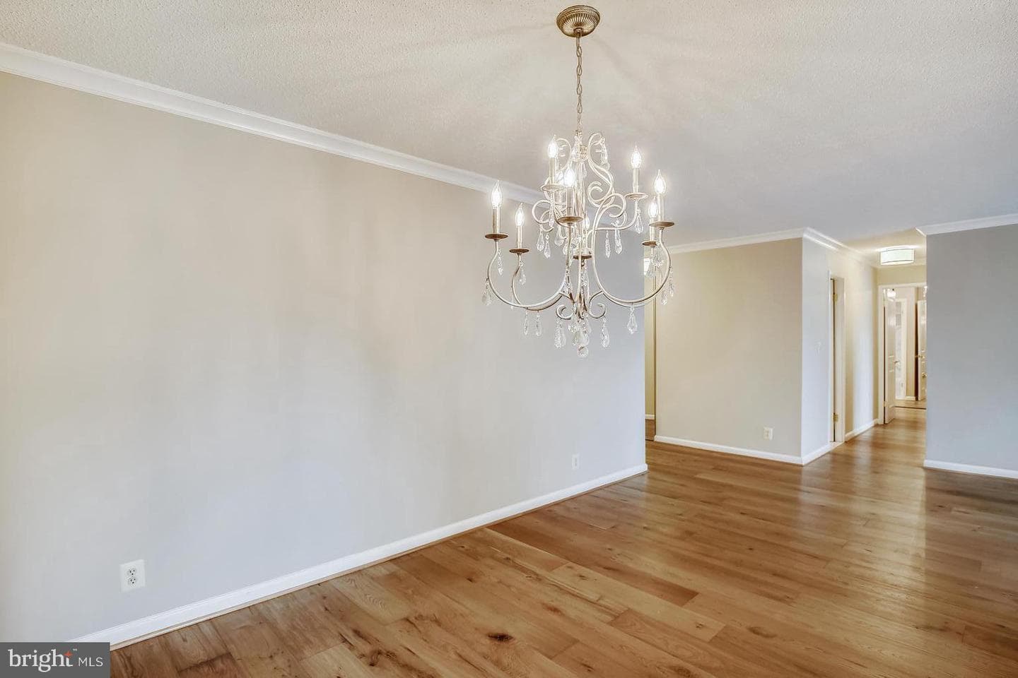 5902 Mount Eagle Drive #310 photo 14