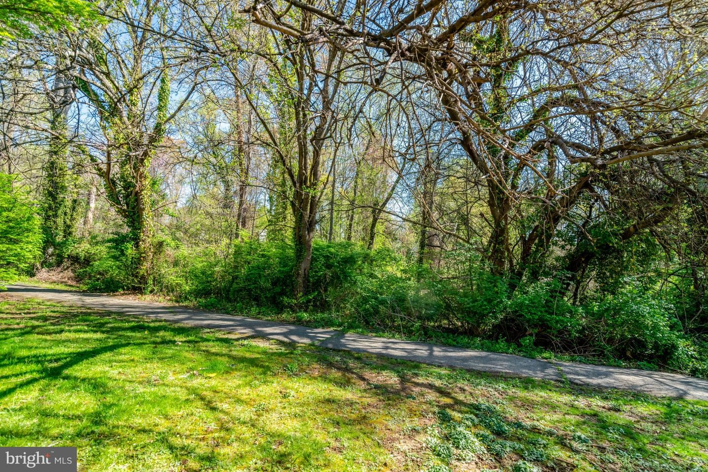8213 Clifton Farm Court photo 16