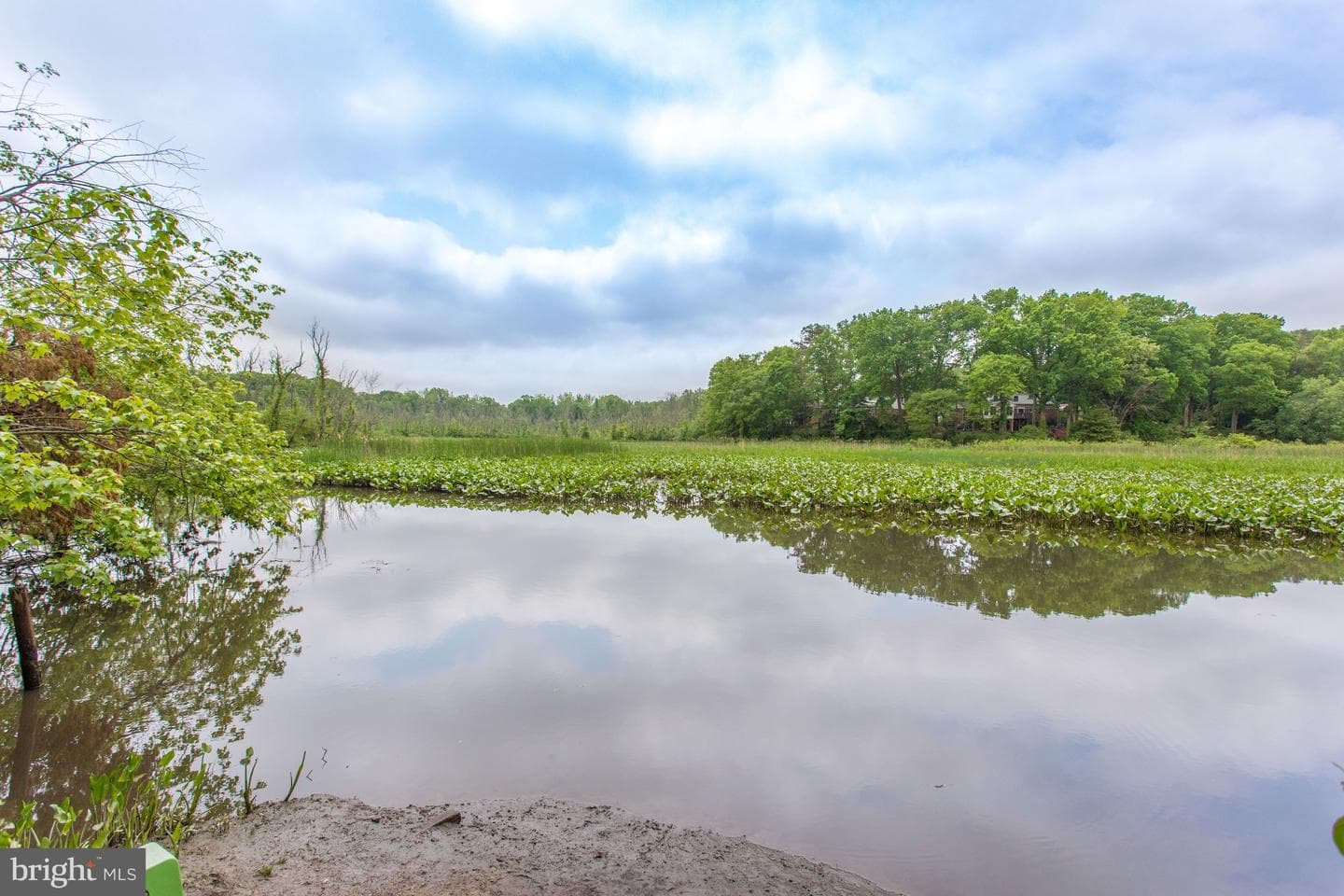 8213 Clifton Farm Court photo 61