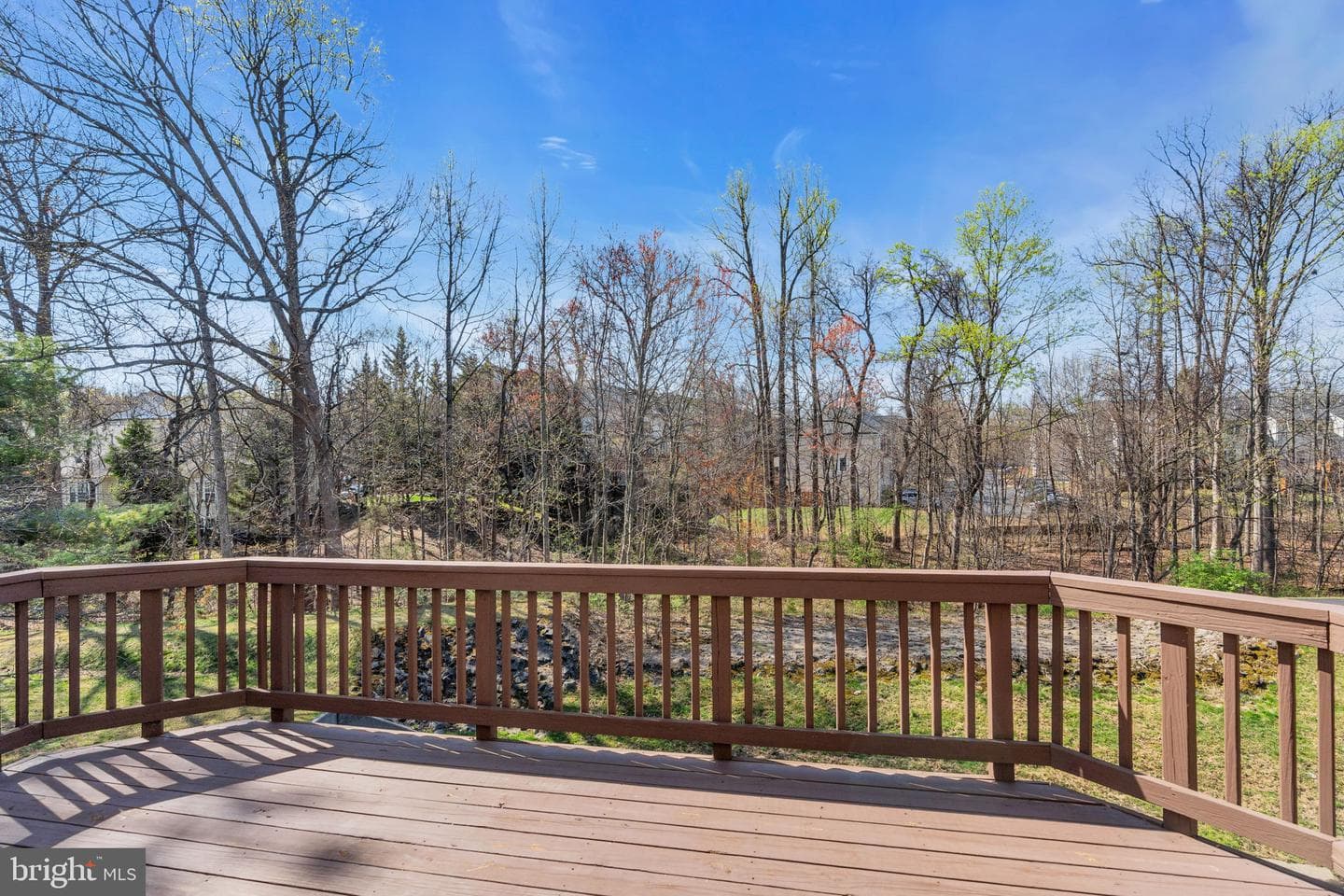 11481 Carriage Gate Court photo 18
