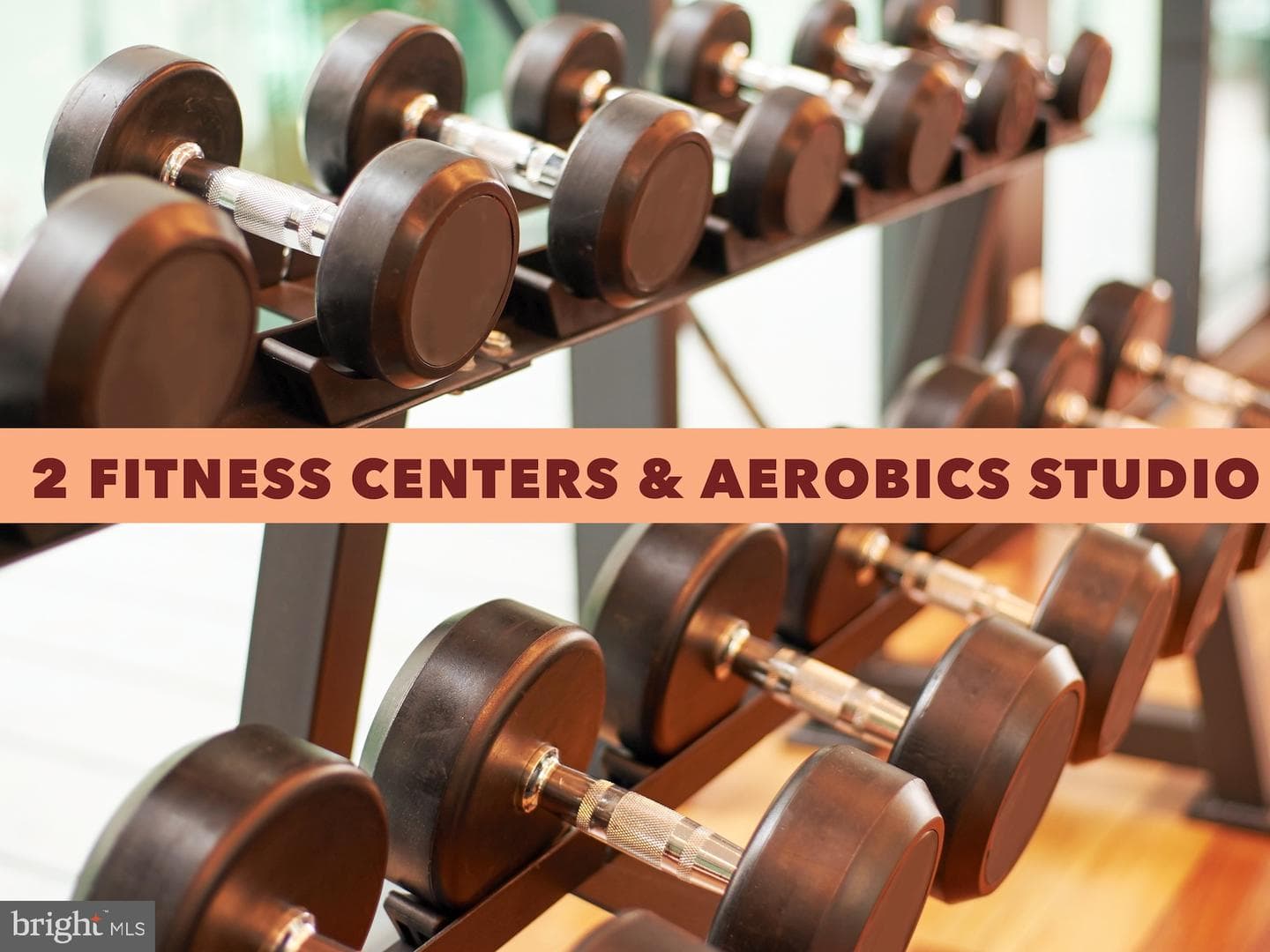 6864 Brindle Heath Way #203 photo 19