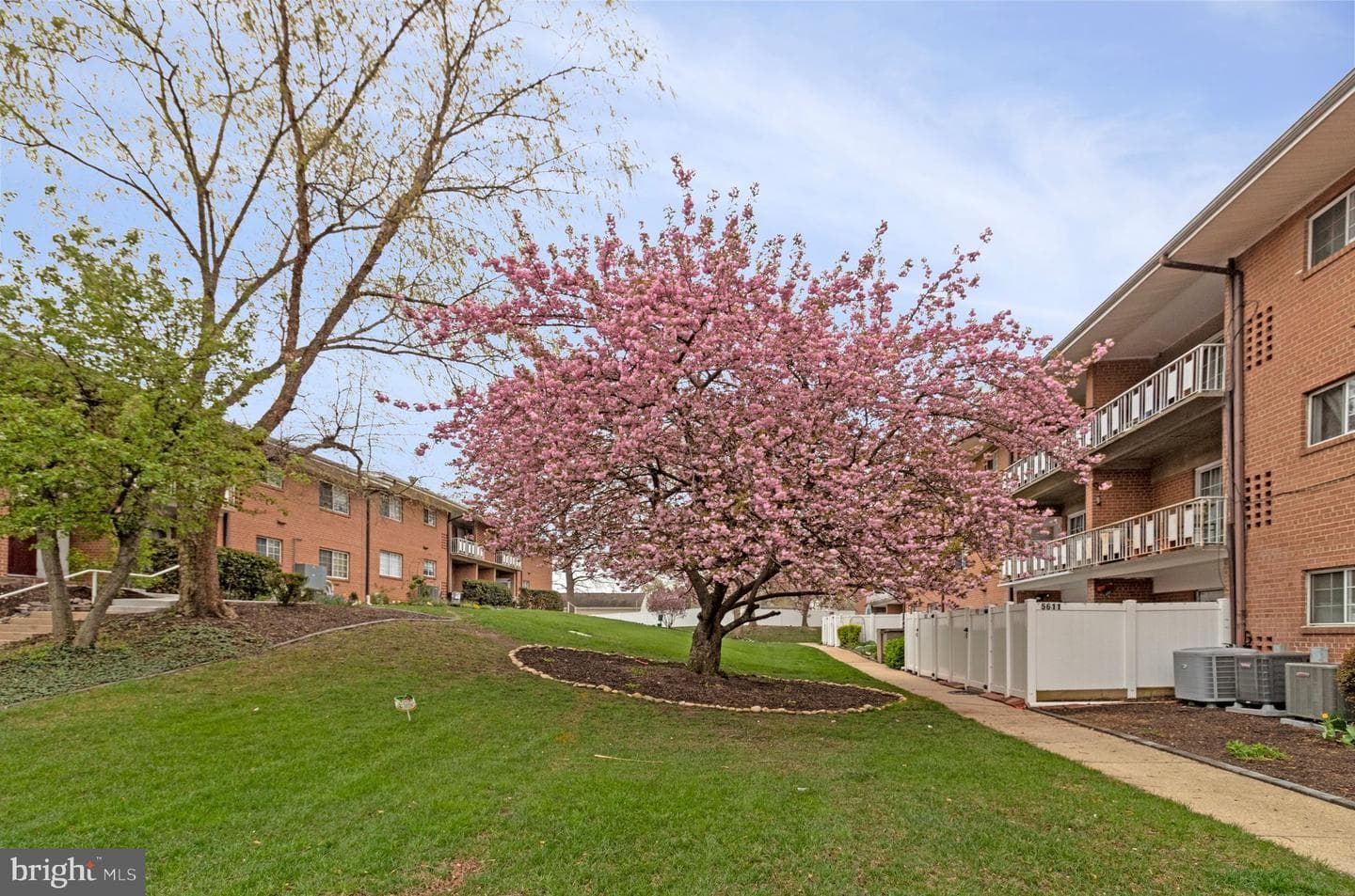 5613 Franconia Road #103 photo 24
